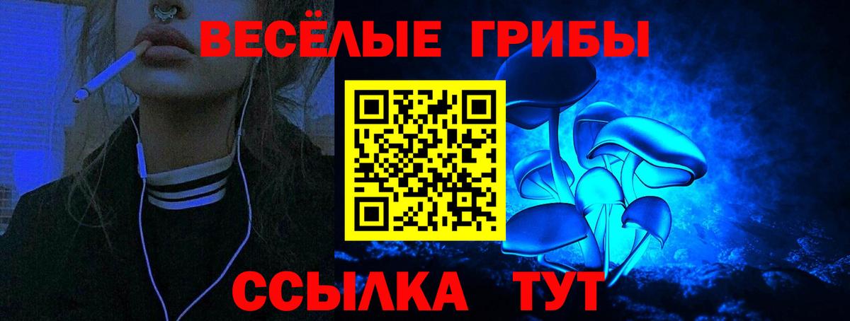 Галлюциногенные грибы Magic Shrooms Ртищево